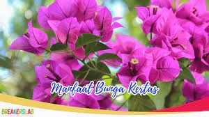 Bunga dan Daun imitasi, manfaat psikologis dan emosional
